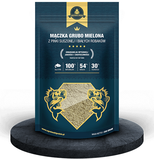 Maczka Grubomielona